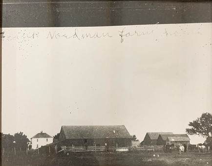 Farm pic 1.jpg